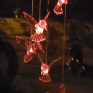 Meet your Posher, Roberta